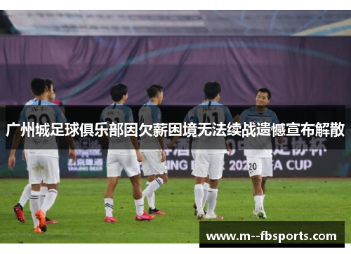 广州城足球俱乐部因欠薪困境无法续战遗憾宣布解散