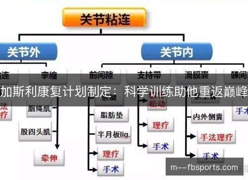 加斯利康复计划制定:科学训练助他重返巅峰 加斯利康复计划制定:科学训练助他重返巅峰